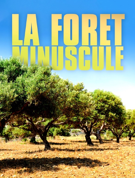 La forêt minuscule