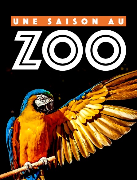 Une saison au zoo