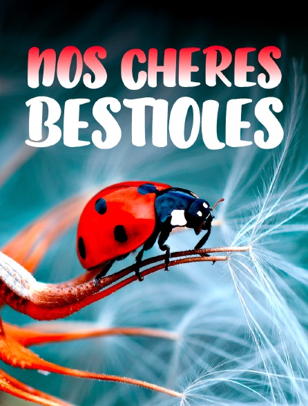 Nos chères bestioles