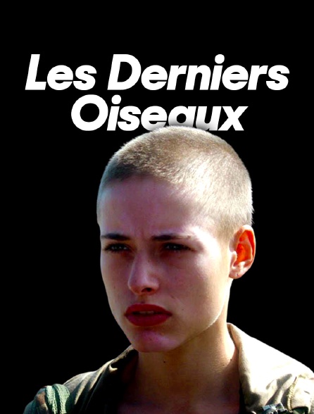 Les derniers oiseaux