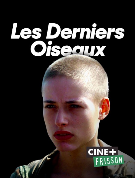 Ciné+ Frisson - Les derniers oiseaux