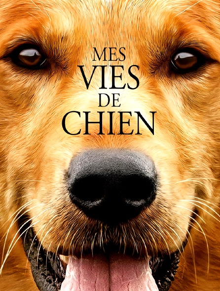 Mes vies de chien