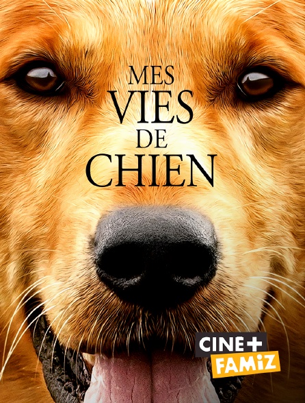 Ciné+ Famiz - Mes vies de chien