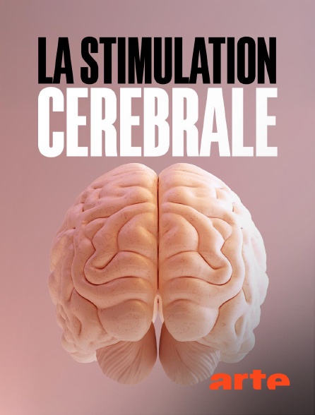Arte - Soigner Parkinson, l'épilepsie, la dépression : La stimulation cérébrale, un nouvel espoir