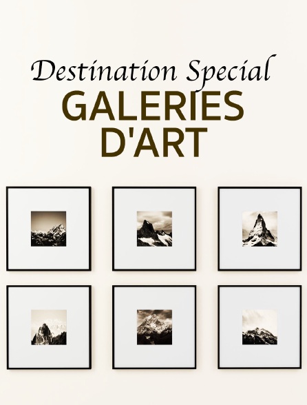 Destination Special : Galeries D'Art
