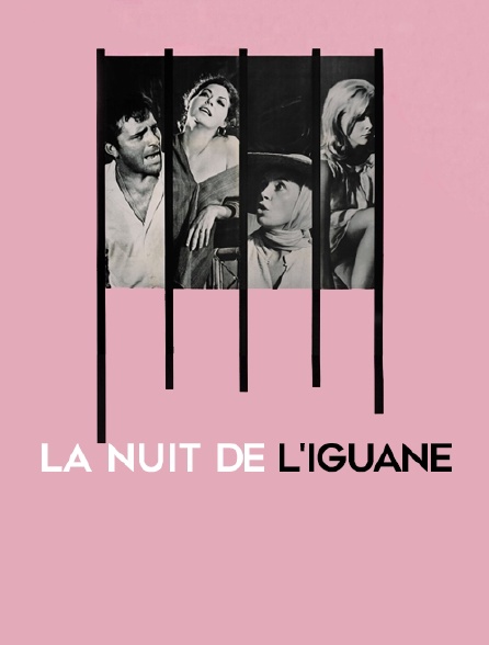 La nuit de l'iguane