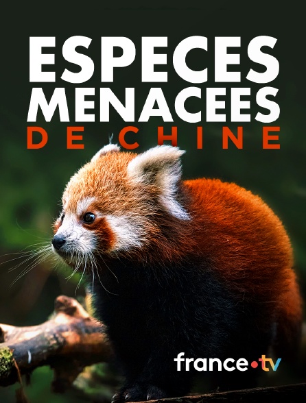 france.tv - Espèces menacées de Chine