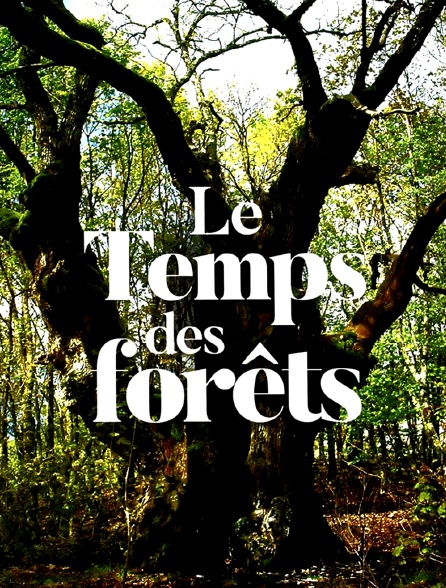 Le temps des forêts