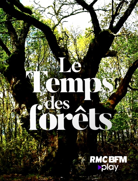 RMC BFM Play - Le temps des forêts