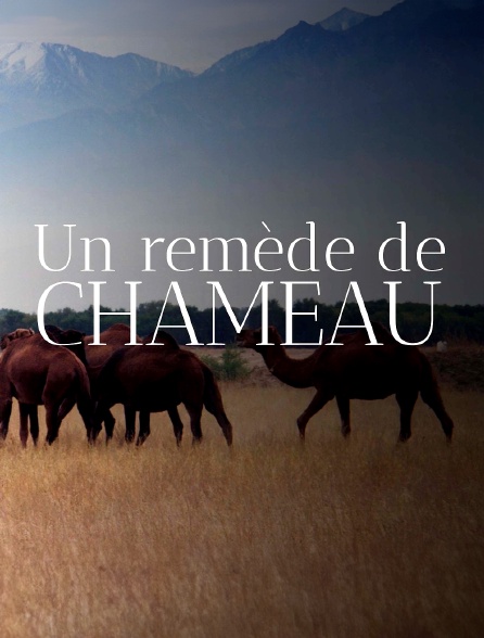 Un remède de chameau : La révolution des nanocorps