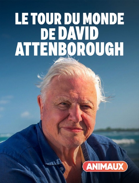 Animaux - Le tour du monde de David Attenborough