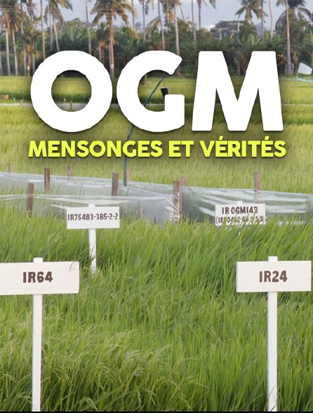 OGM : mensonges et vérités