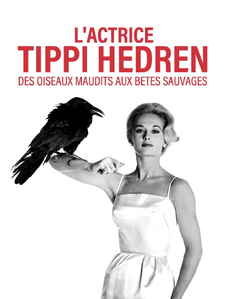 L'actrice Tippi Hedren : des oiseaux maudits aux bêtes sauvages