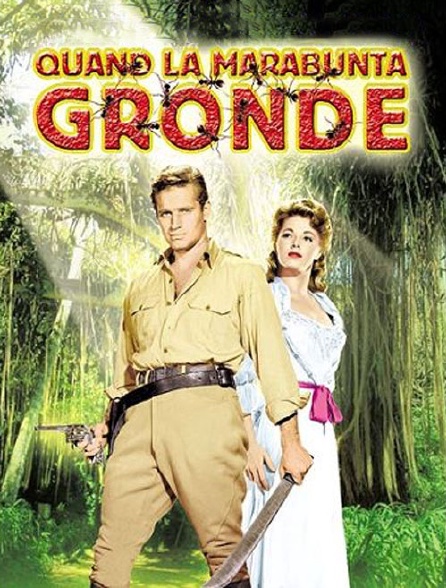 Quand la Marabunta gronde