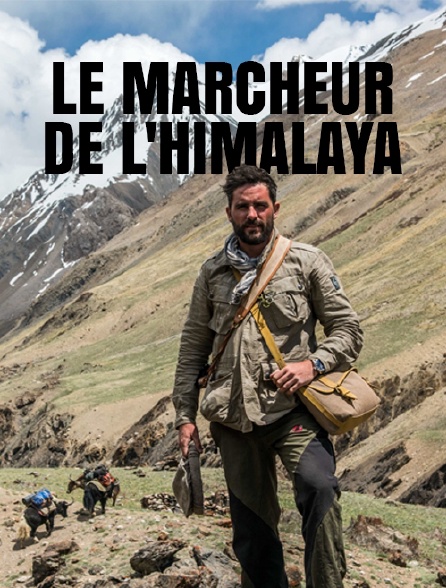 Le marcheur de l'Himalaya