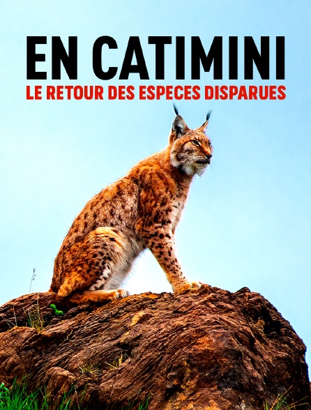 En catimini : Le retour des espèces disparues