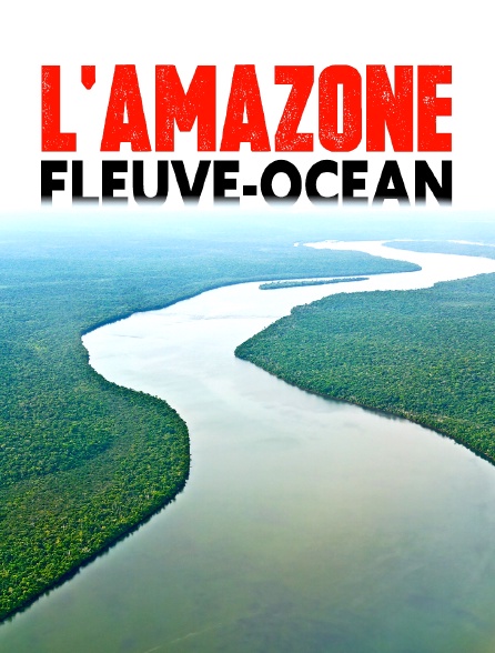 L'Amazone, fleuve-océan