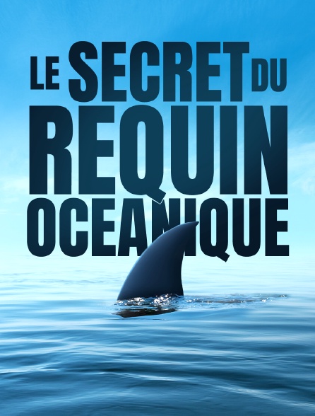 Le secret du requin océanique