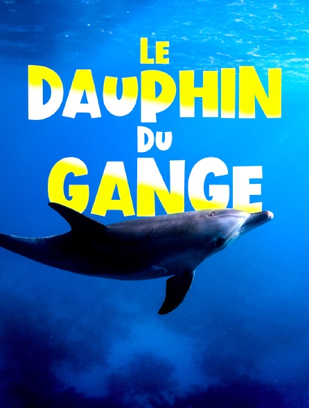 Le dauphin du Gange