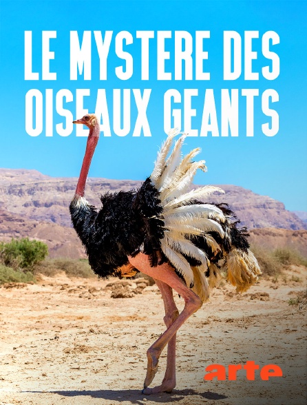 Arte - Le mystère des oiseaux géants