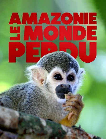 Amazonie le monde perdu