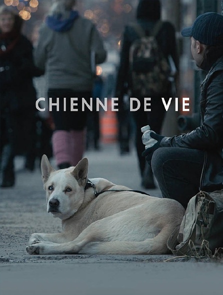 Chienne de vie