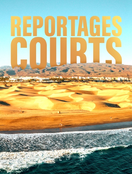 Reportages courts