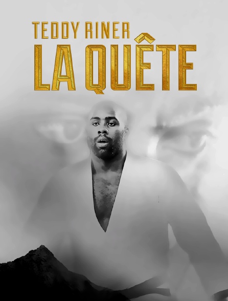 Teddy Riner, la quête