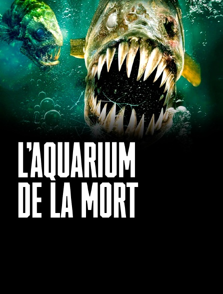 Aquarium de la Mort