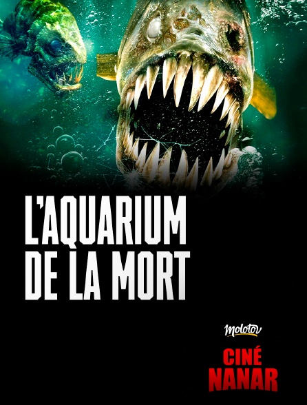 Ciné Nanar - Aquarium de la Mort