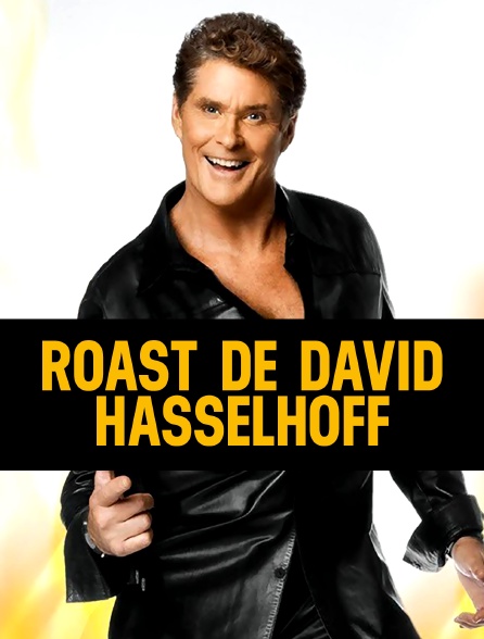 Comedy Central Roast Of David Hasselhoff