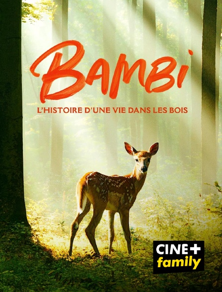 CINE+ Family - Bambi, l'histoire d'une vie dans les bois