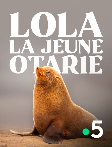 France 5 - Lola, la jeune otarie