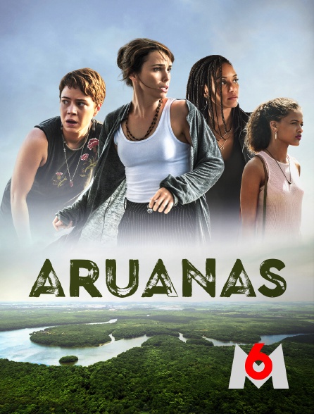 M6 - Aruanas