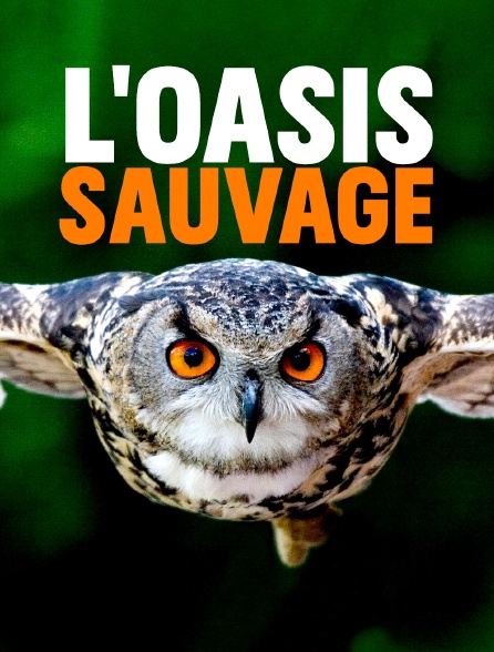 L'oasis sauvage