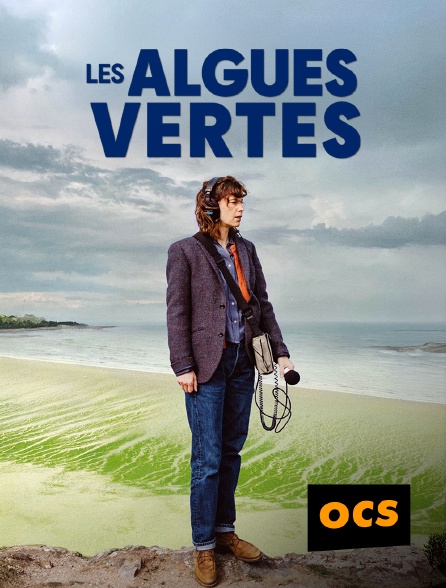 OCS - Les algues vertes