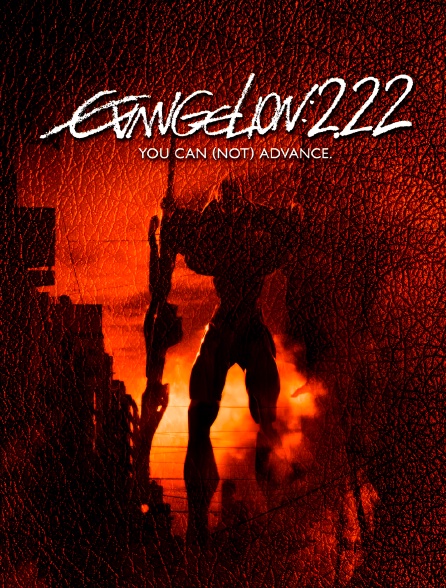 Evangelion 2.0 : You Can (Not) Advance
