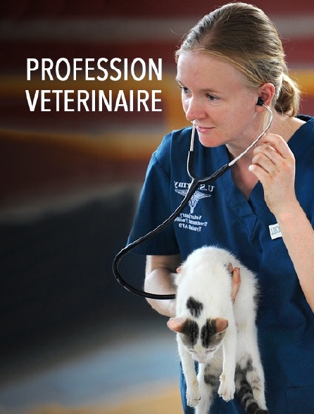 Profession vétérinaire