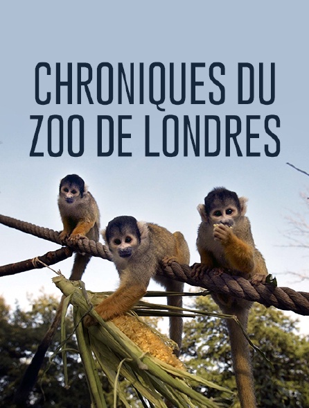 Chroniques du zoo de Londres