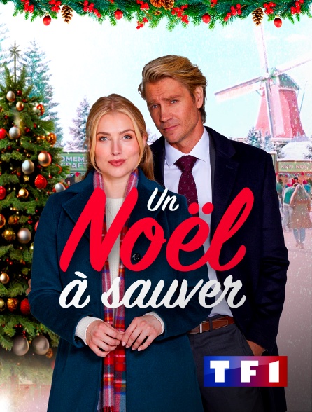 TF1 - Un Noël à sauver