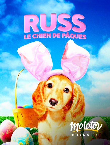 Mango - Russ, le chien de Pâques
