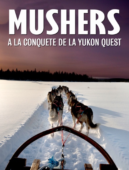 Mushers : à la conquête de la Yukon Quest