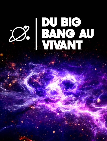 Du Big Bang au vivant