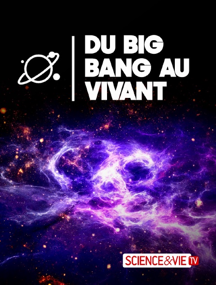Science et Vie TV - Du Big Bang au vivant