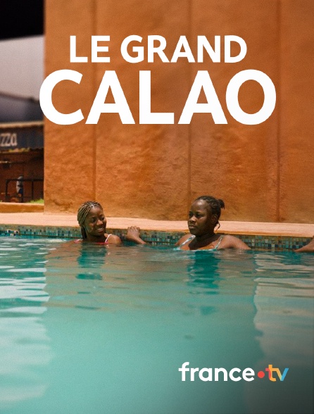 france.tv - Le grand calao en replay