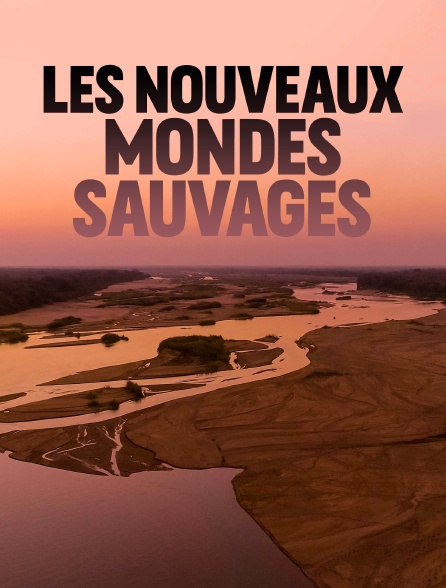 Les nouveaux mondes sauvages