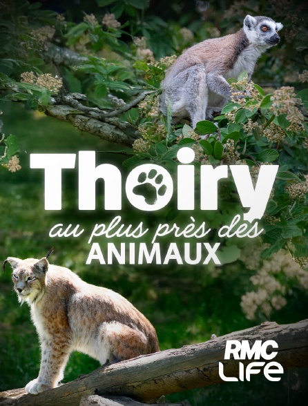 RMC Life - Thoiry : au plus près des animaux en replay