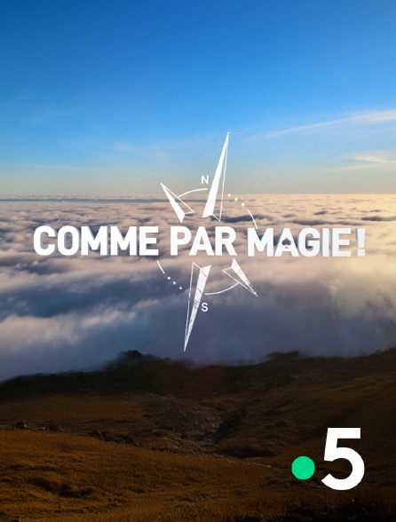 France 5 - Comme par magie