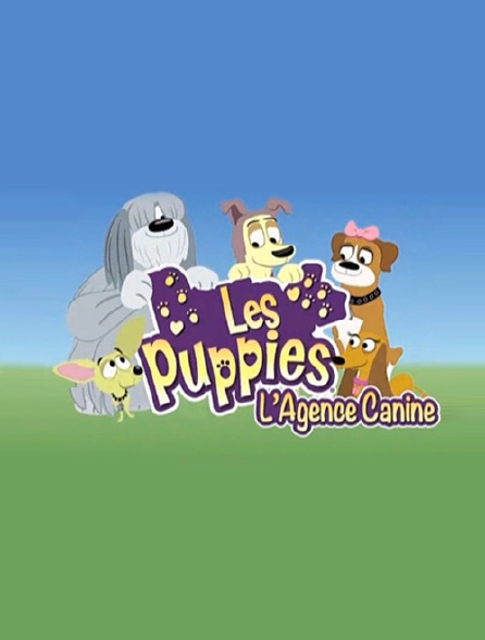 Les Puppies, l'agence canine