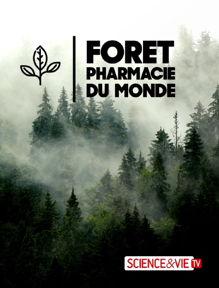 Science et Vie TV - Forêt, pharmacie du monde